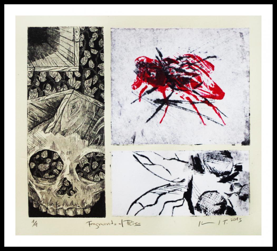 Fragments of Flies