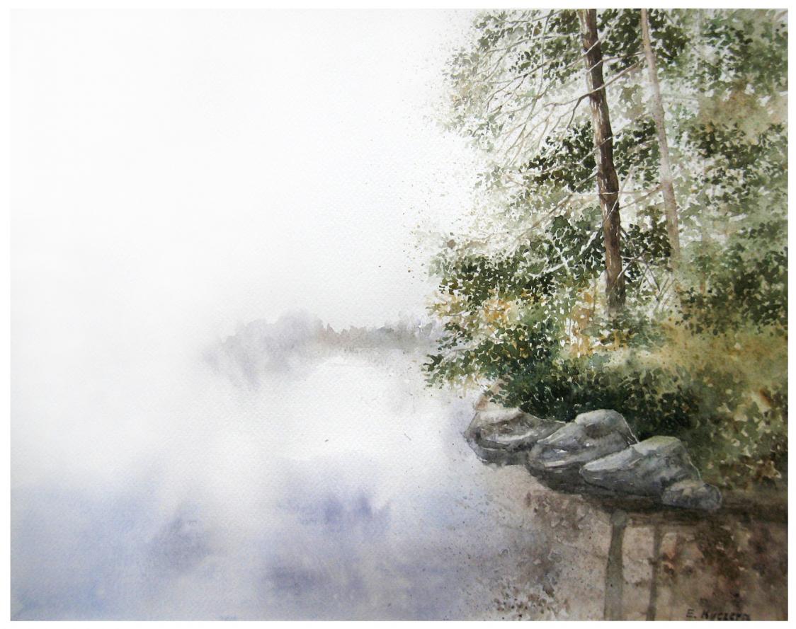 Lake in the forest