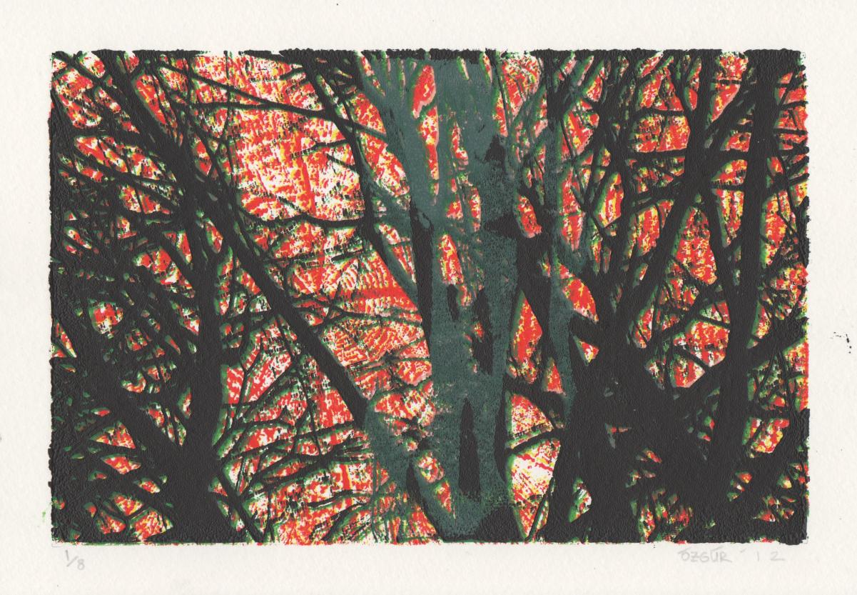 Piece of Forest