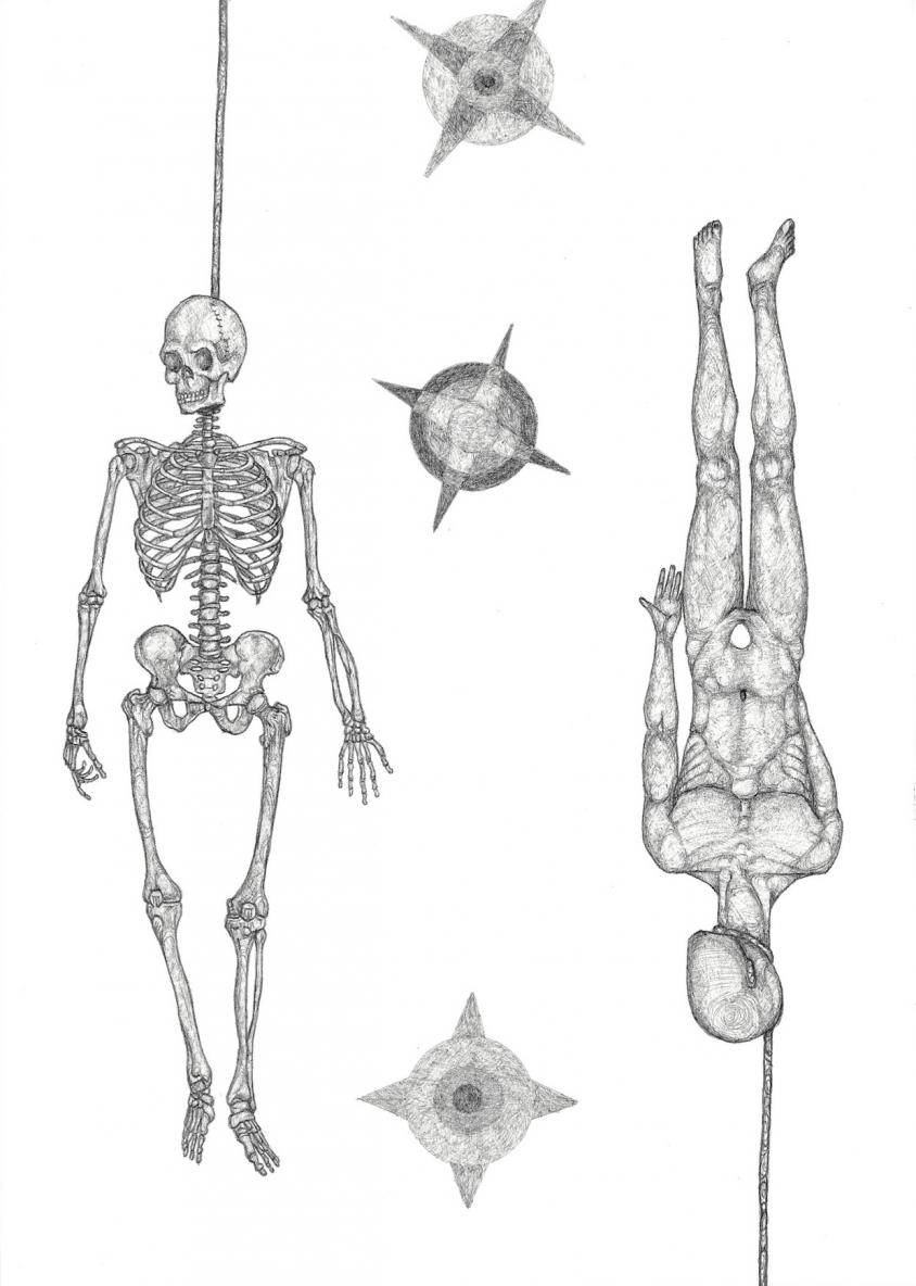 didymoi