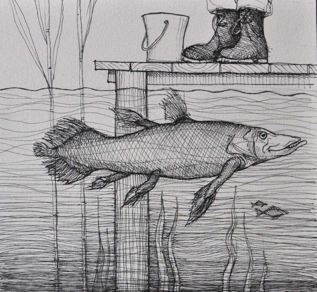 Coelacanth pike