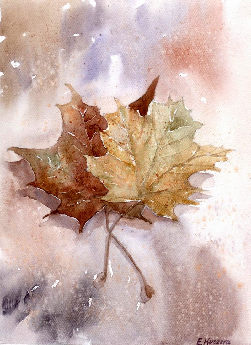 Autumn leaves
