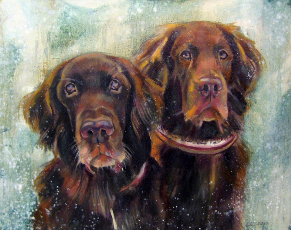Dogs