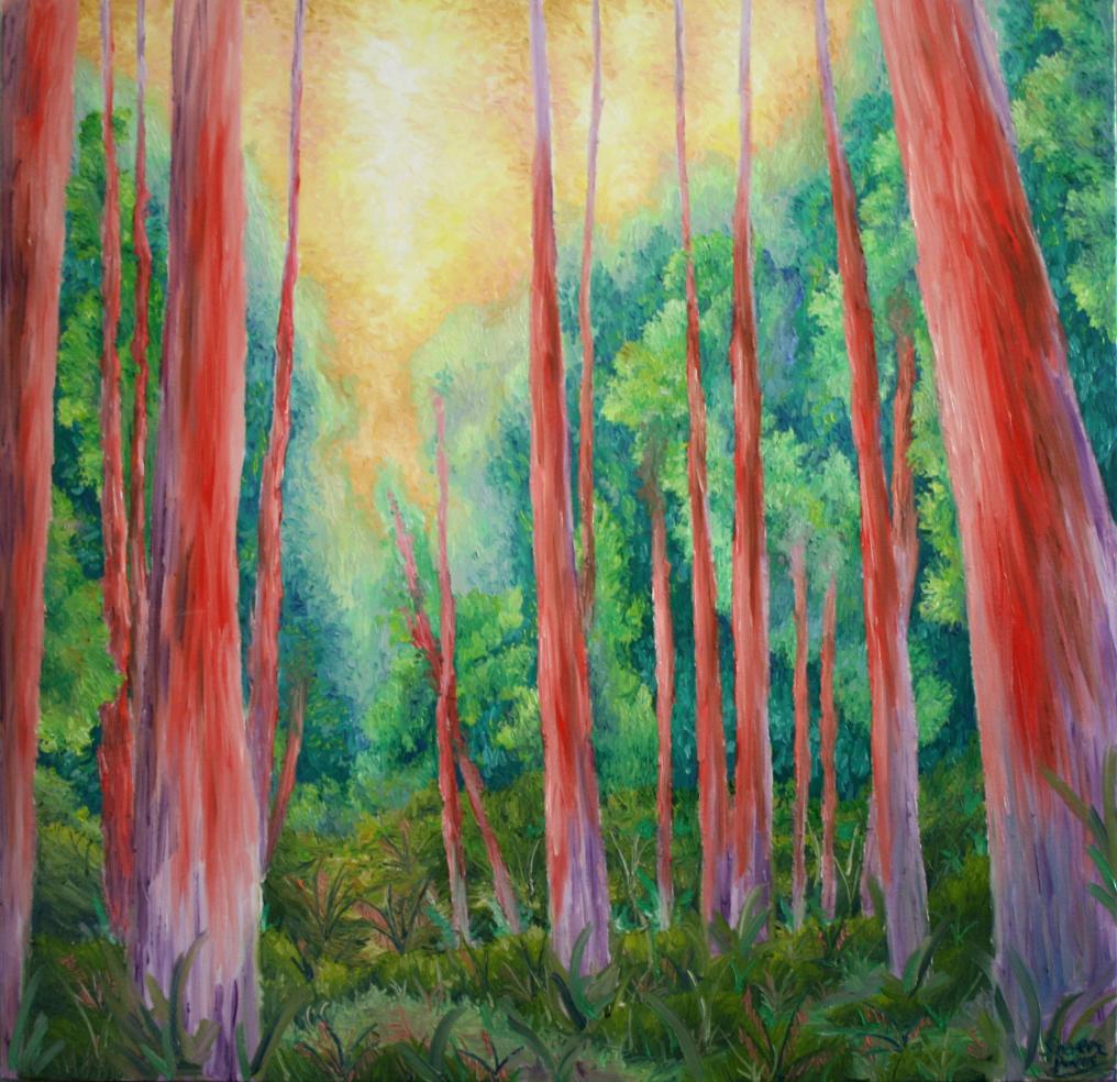 The Redwood Forest