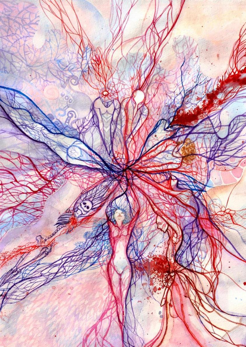Circulatory System