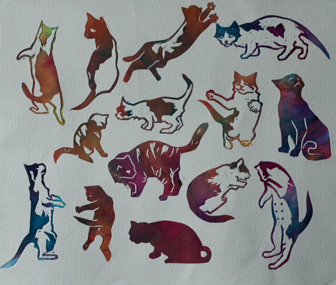 cats