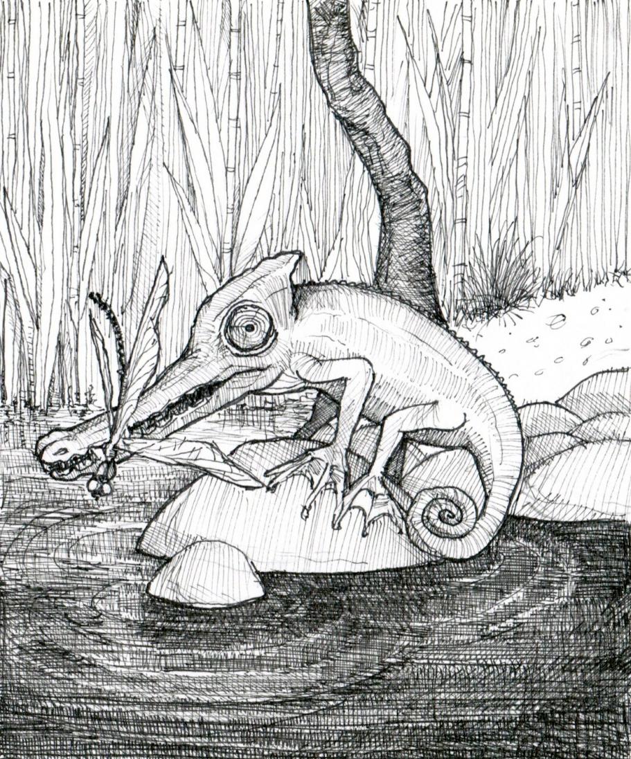 Croco-chameleon