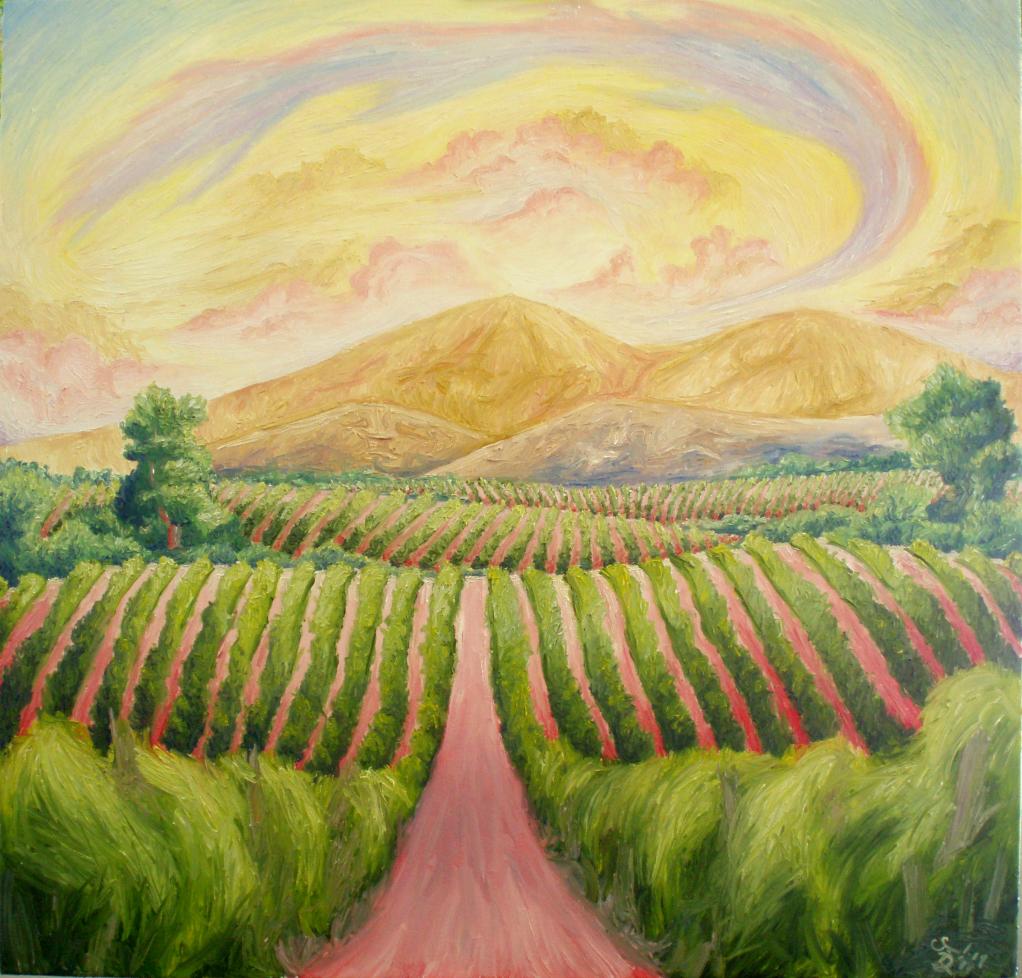 Early Morning Vineyards