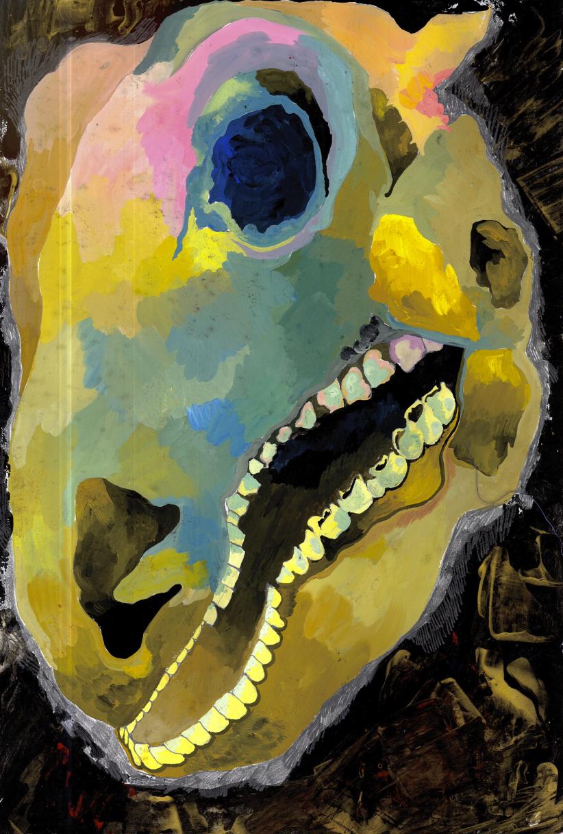 Cow Skull