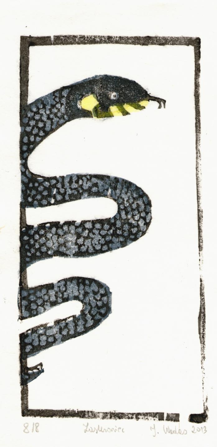 Grass snake