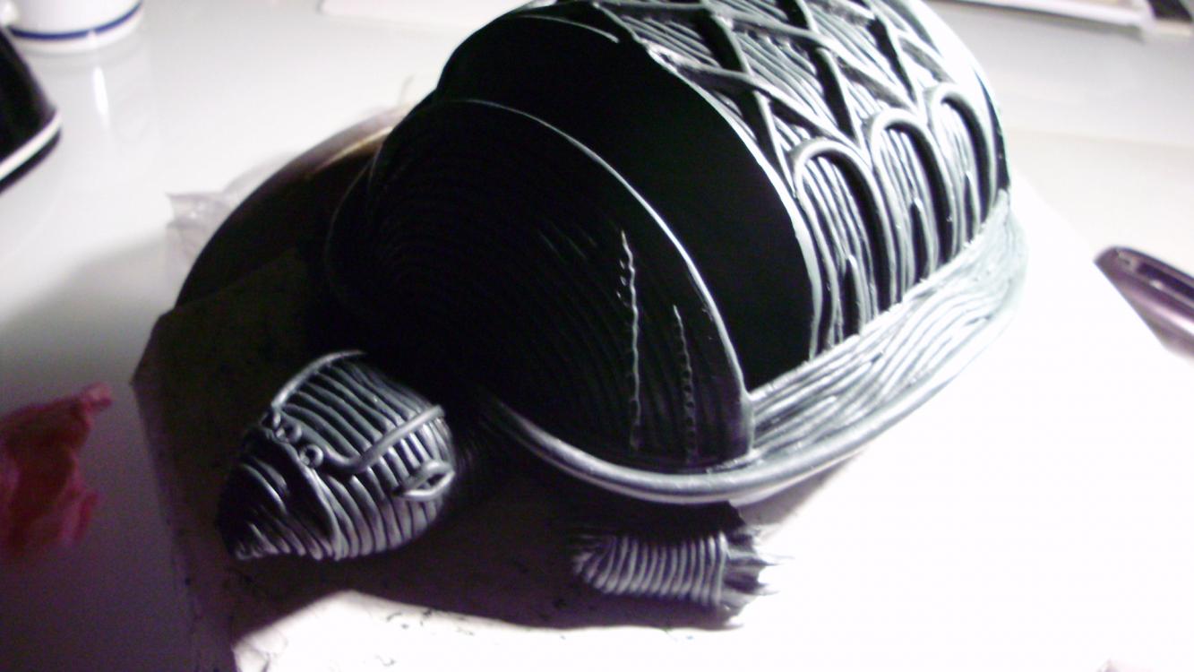 The Turtle Holder