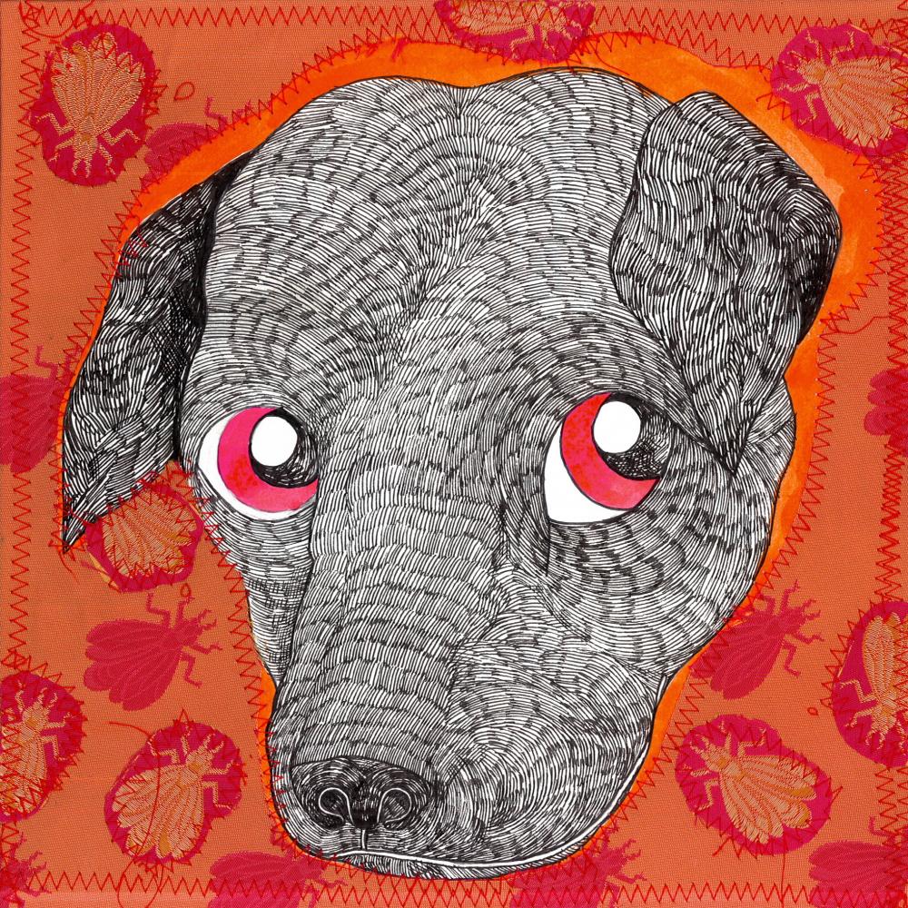 Greyhound