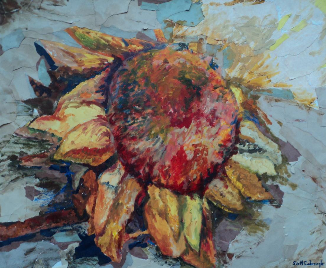 sunflower