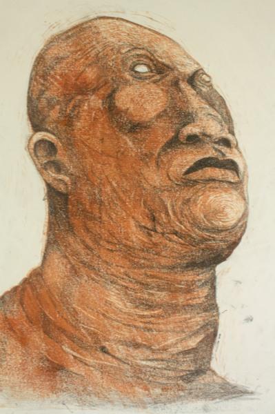the face