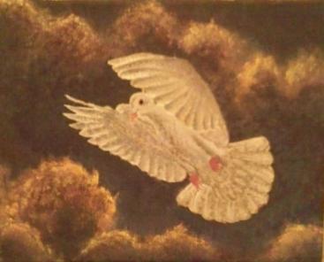Twilight Dove