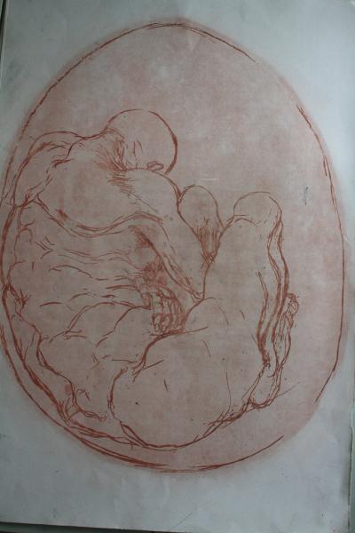 the Unborn
