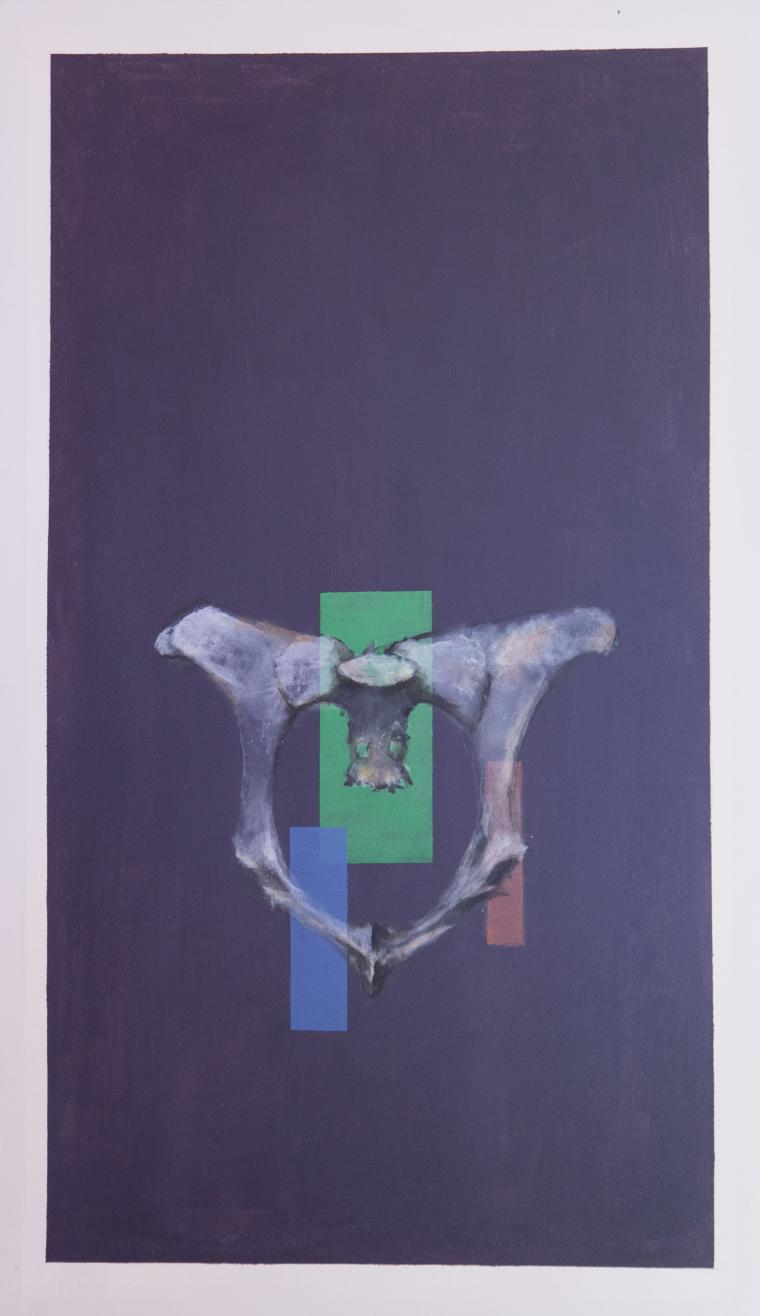 Animalidad II: Vaca
