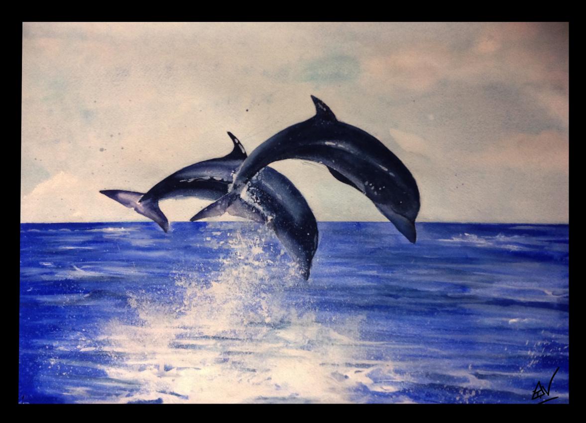 Dolphins