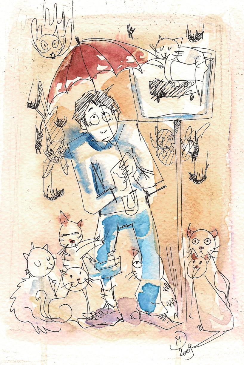 It\'s raining cats and cats