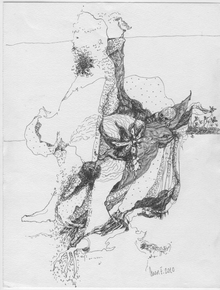 untitled.........................