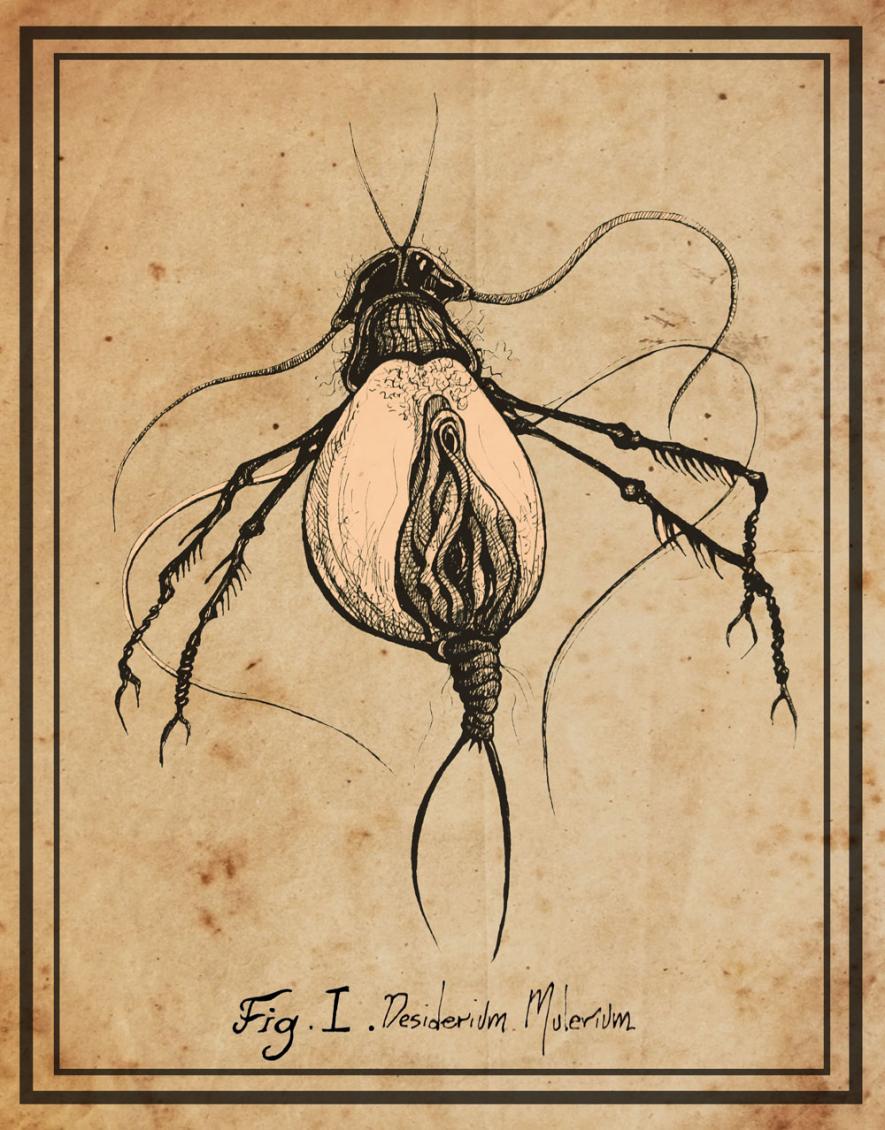 Desiderium Mulerium