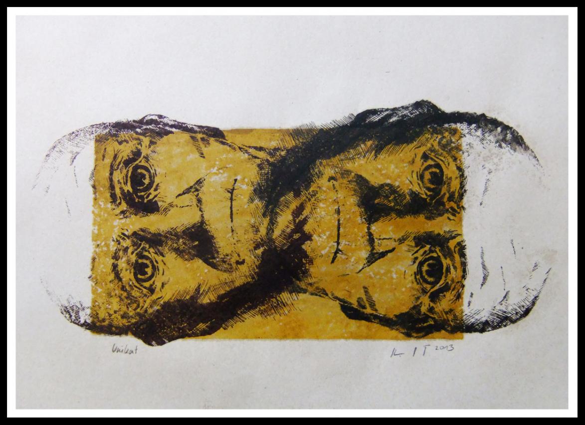 Schizophrenia pt2