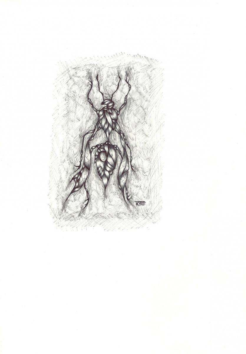 surreal order