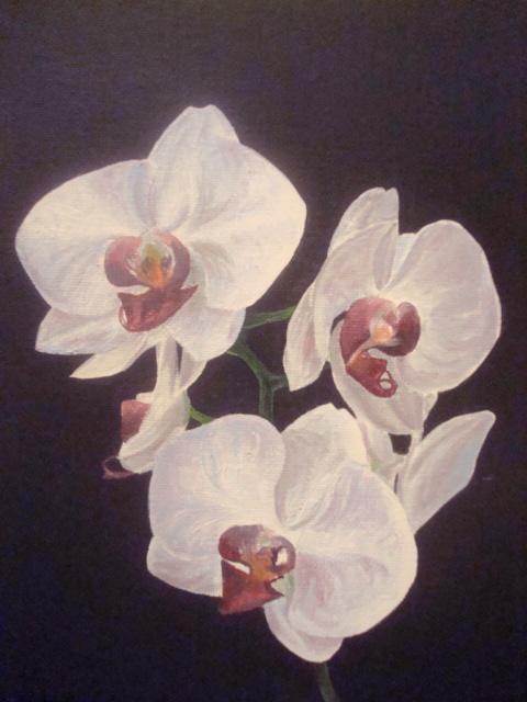 Orchids