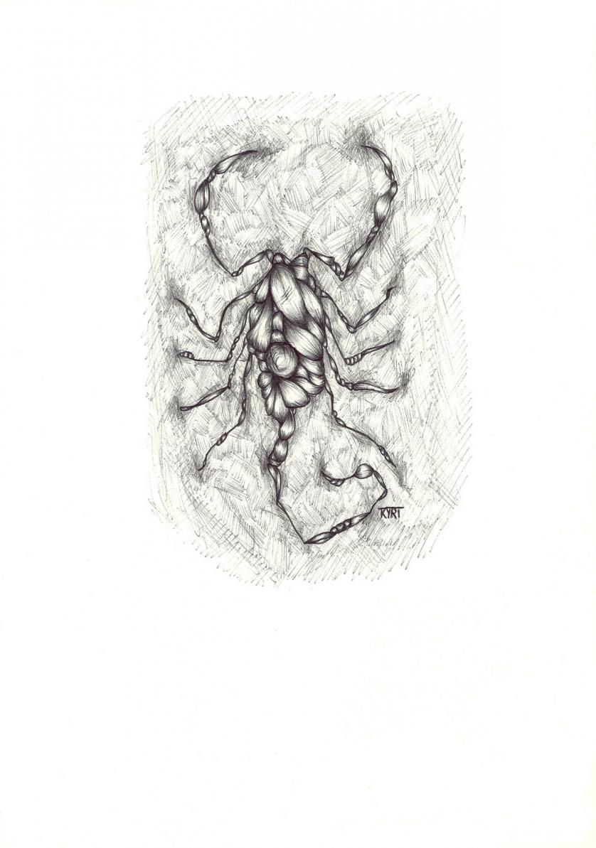 surreal solitary
