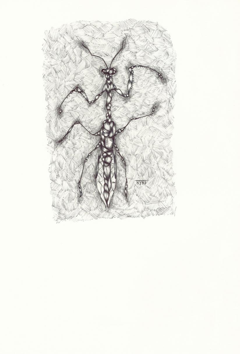 surreal patience