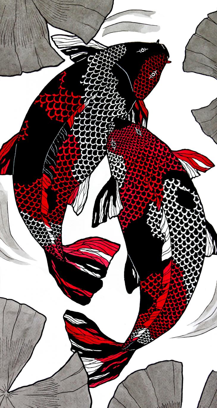 Koi