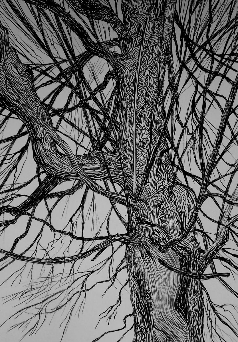 Monumental tree