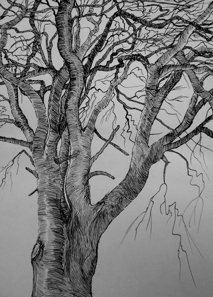 Hypnotic tree