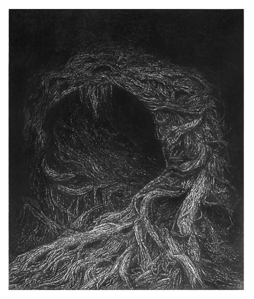 Dendromorfologia I