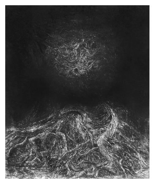 Dendromorfologia II