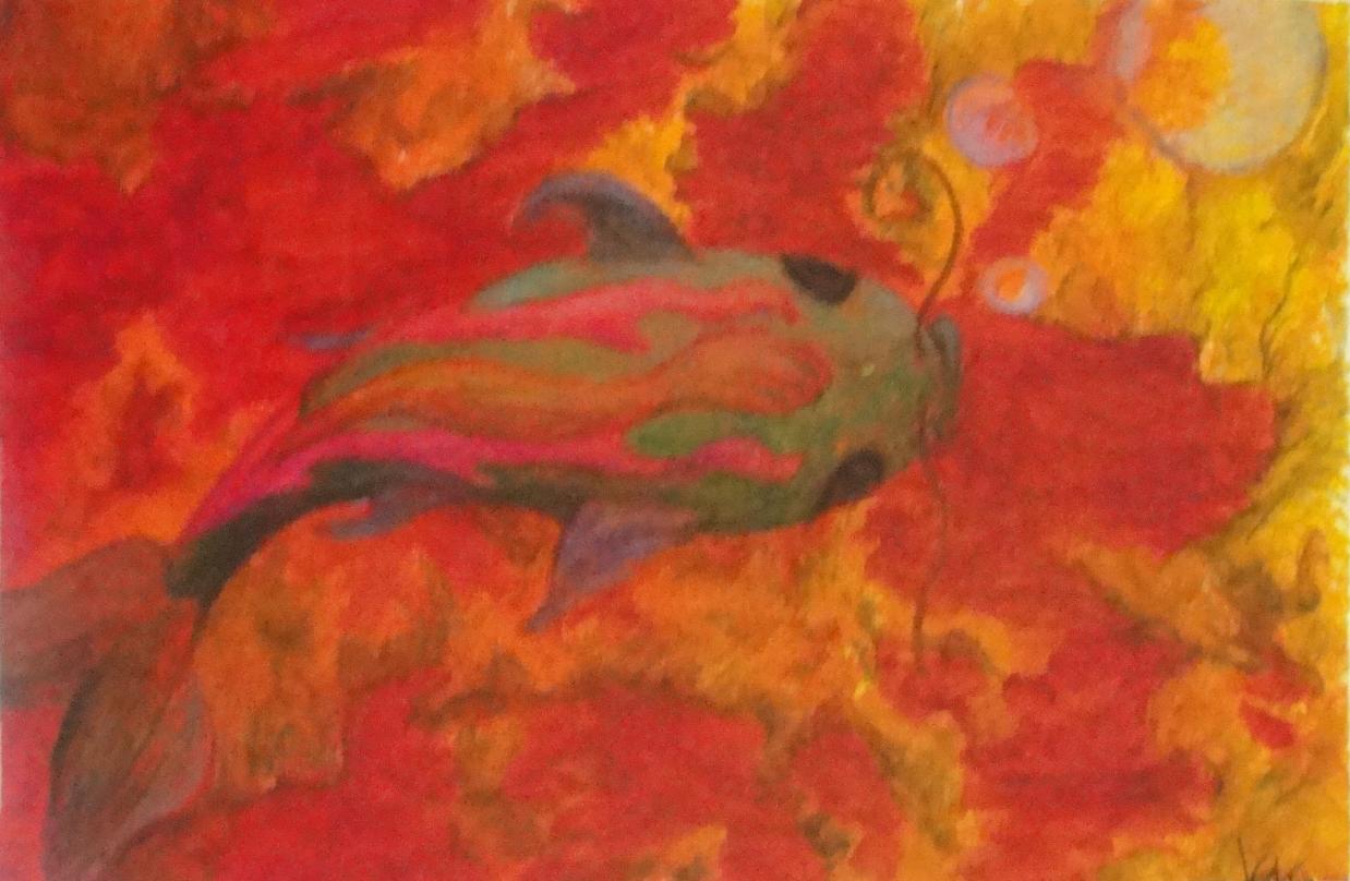 Koi