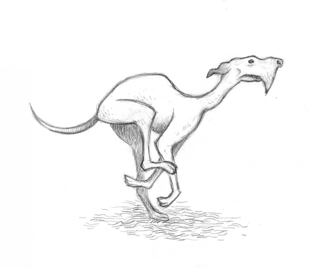 Axe Handle Hound