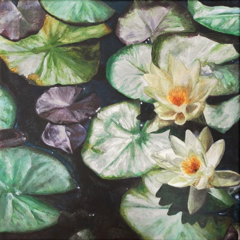 Waterlilies