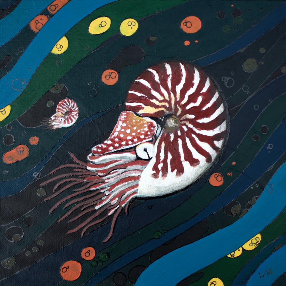 Nautilus