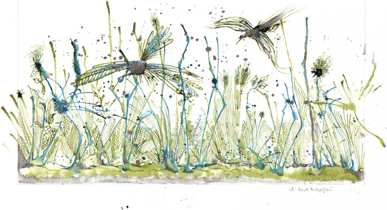 Days of the garden