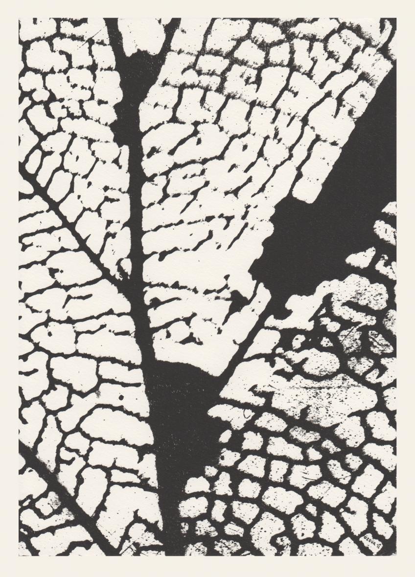 Leaf