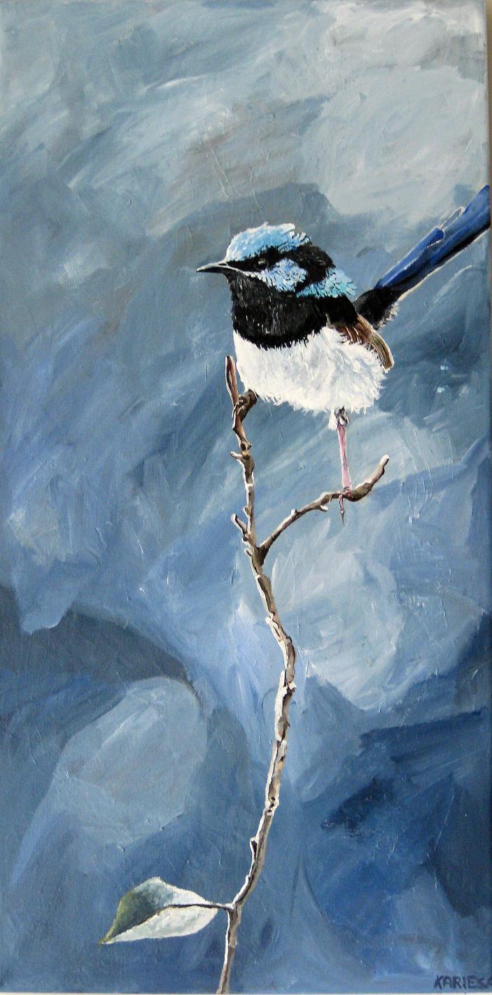 Blue wren on a stem