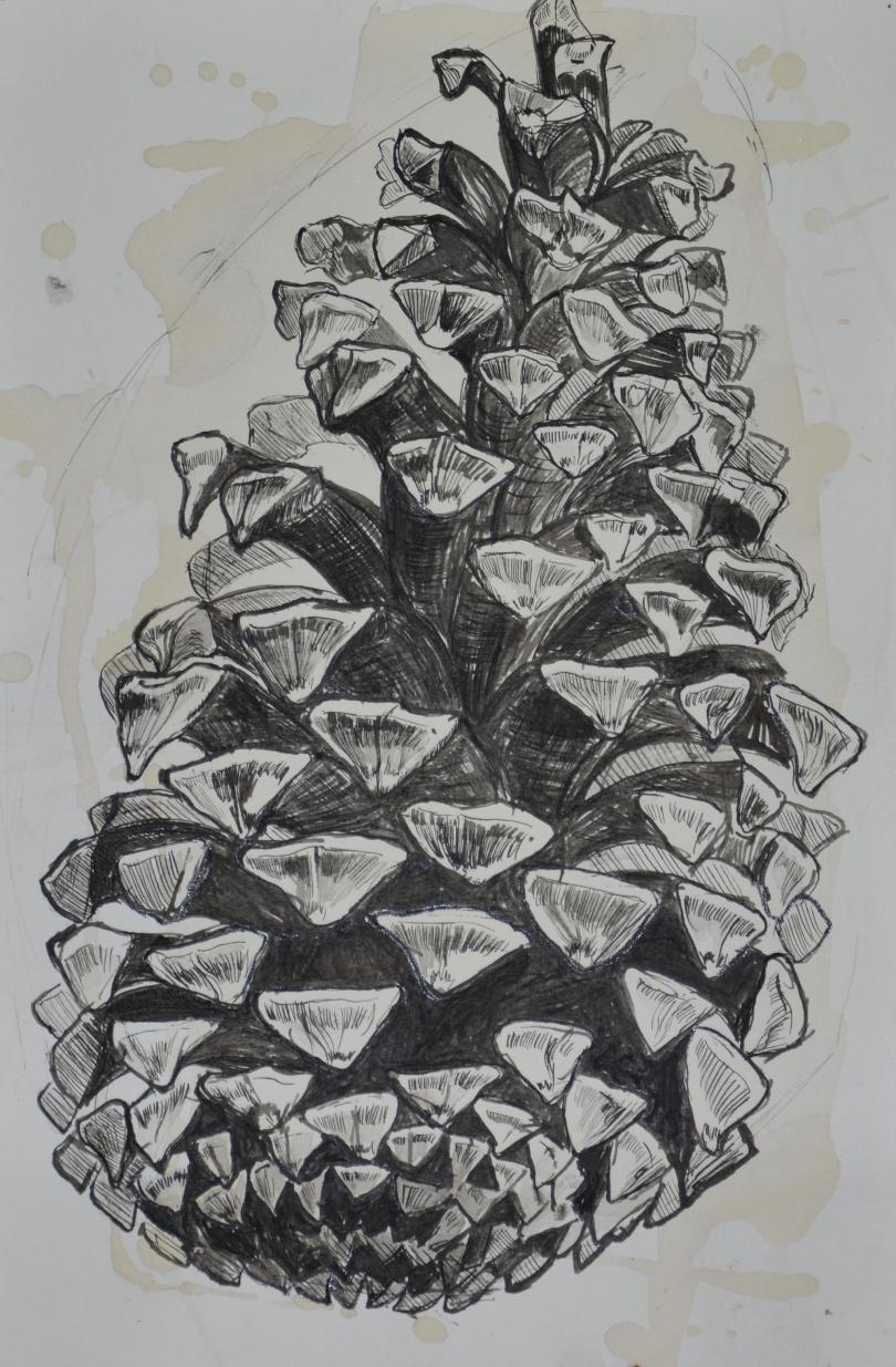 Pinecone